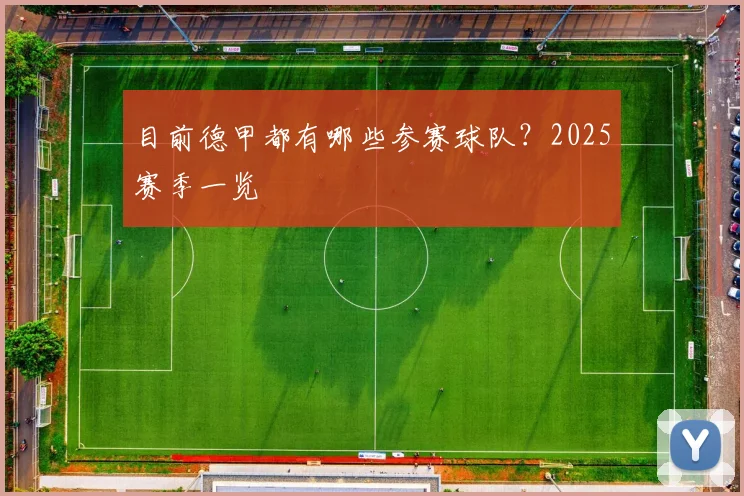 目前德甲都有哪些参赛球队？2025赛季一览