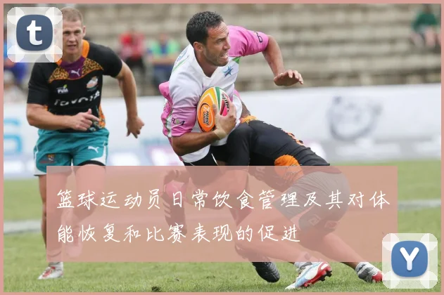 篮球运动员日常饮食管理及其对体能恢复和比赛表现的促进