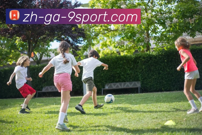 J9九游平台生态图